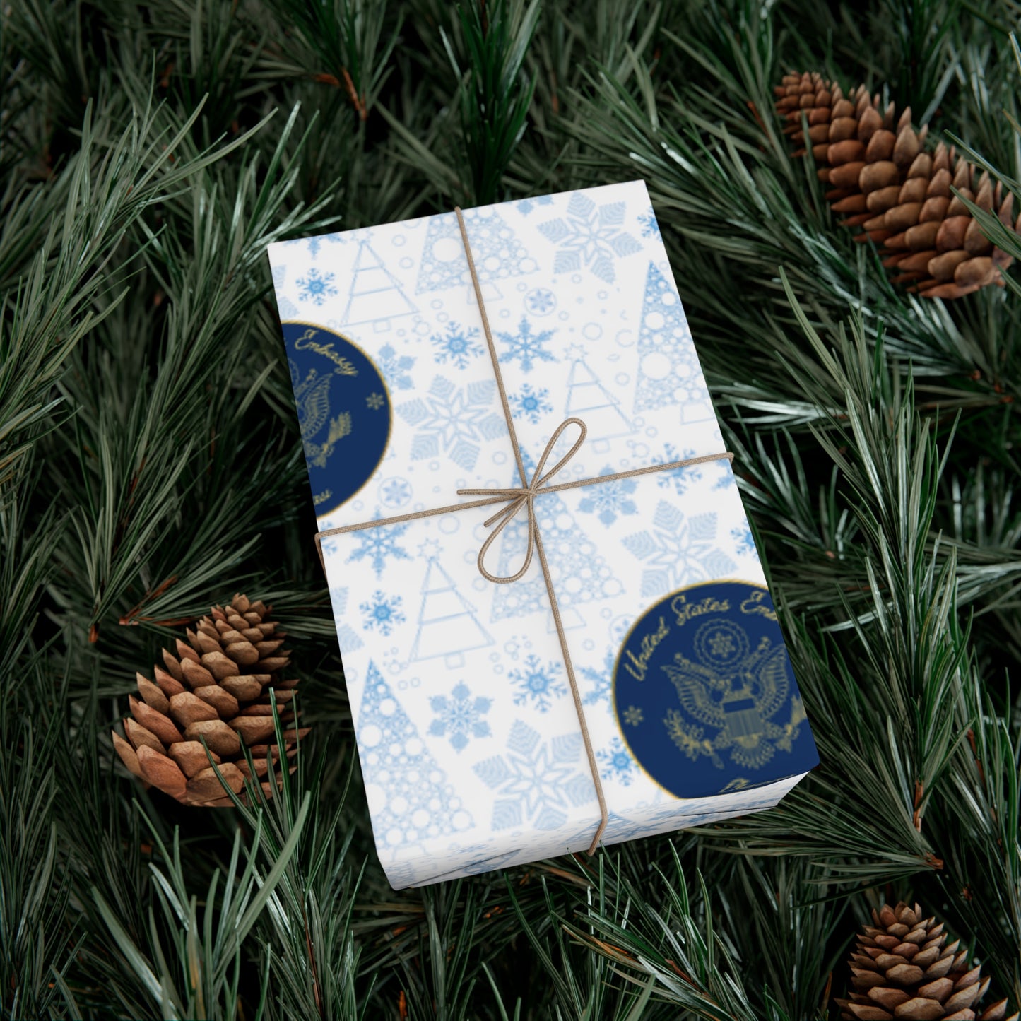 Holiday Gift Wrapping Paper: Chisinau