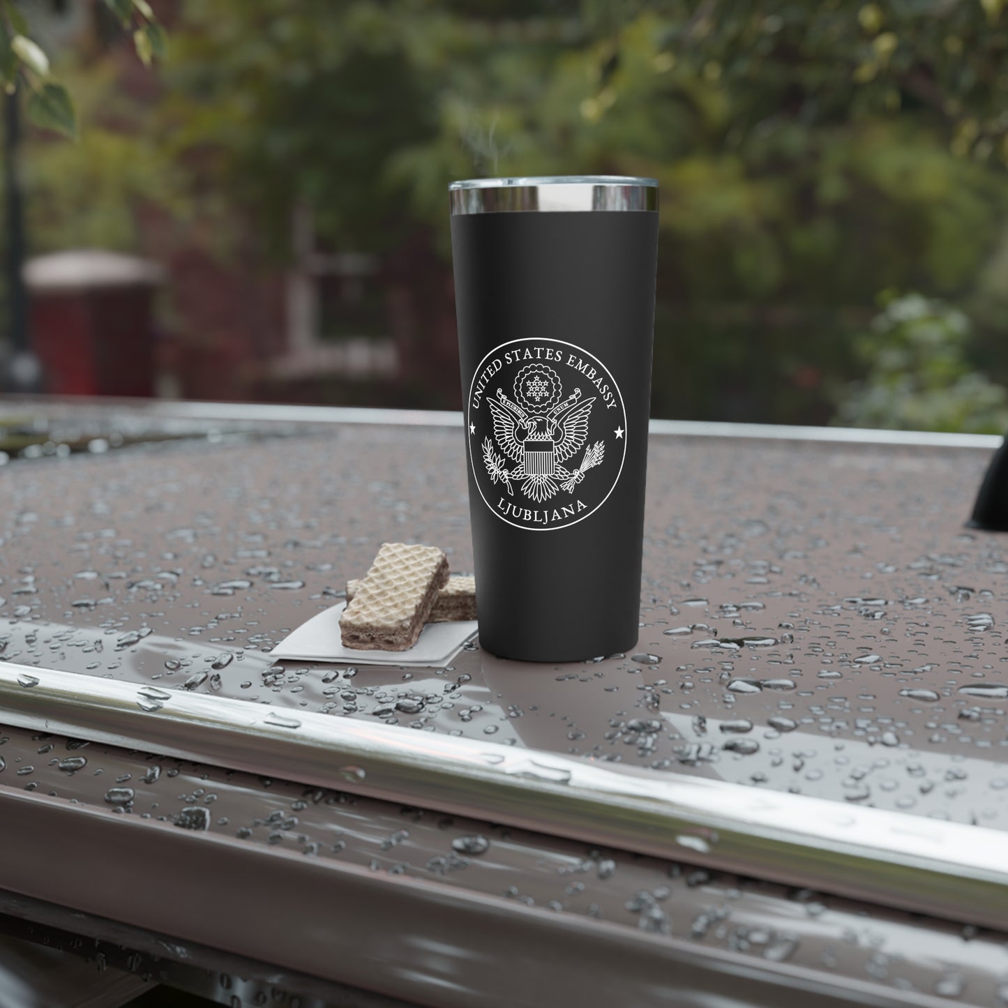 Copper Vacuum Insulated Tumbler, 22oz: Ljubljana