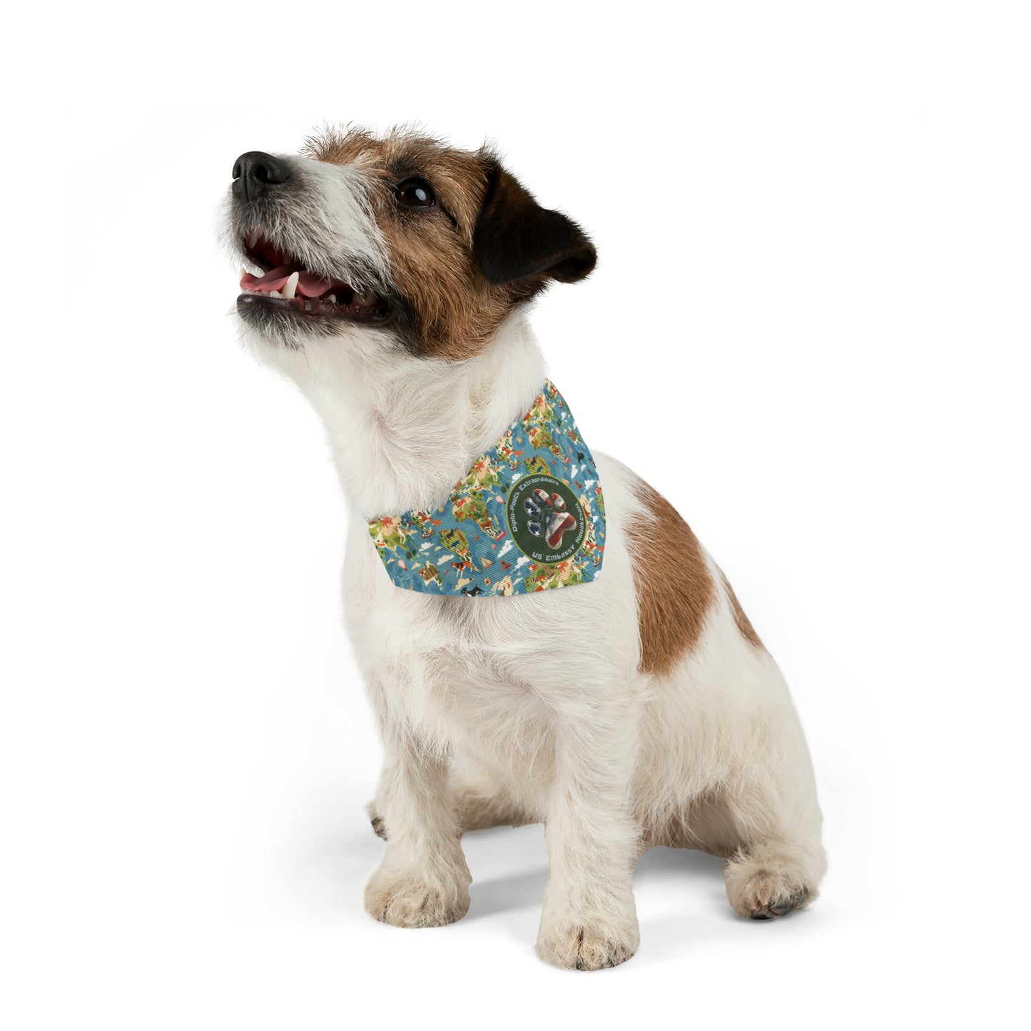 Pet Bandana: Nouakchott