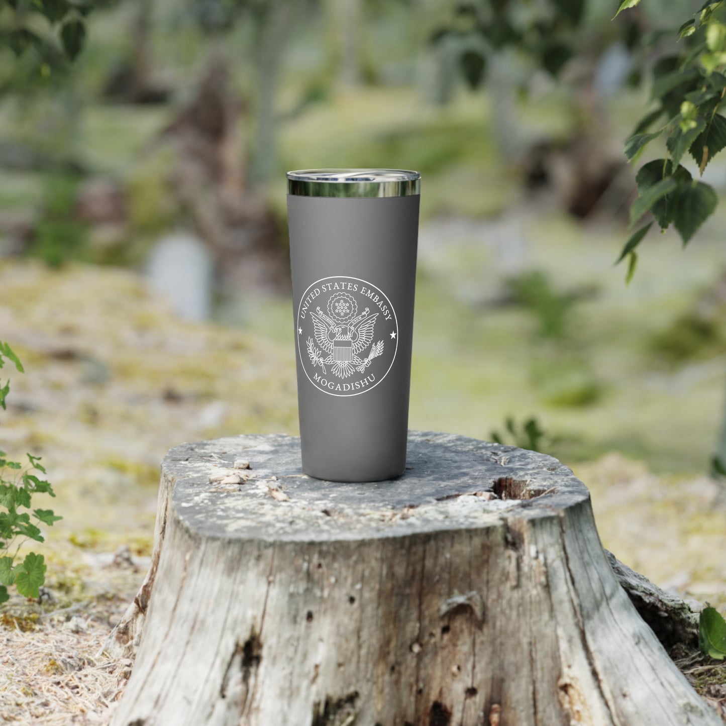 Copper Vacuum Insulated Tumbler, 22oz: Mogadishu