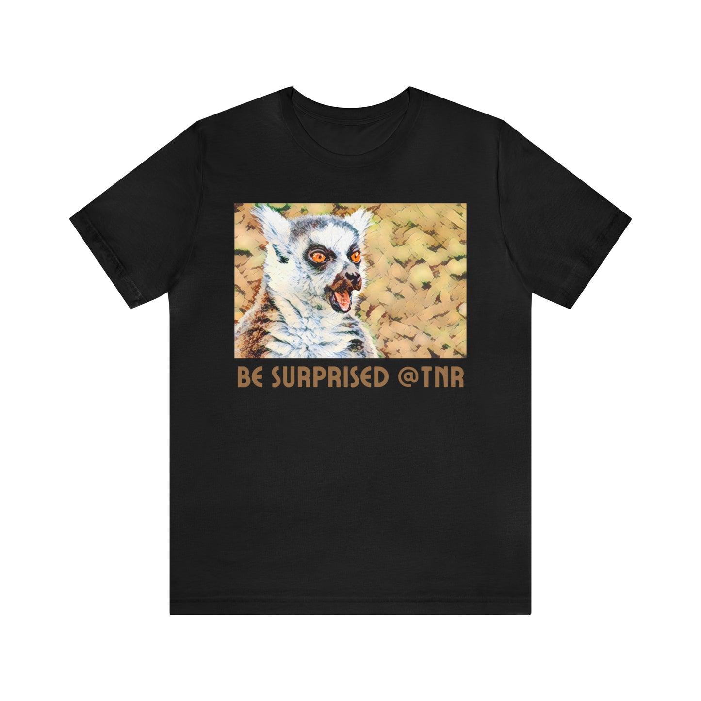 Comfy Short Sleeve Fun T-Shirt: Madagascar and Comoros