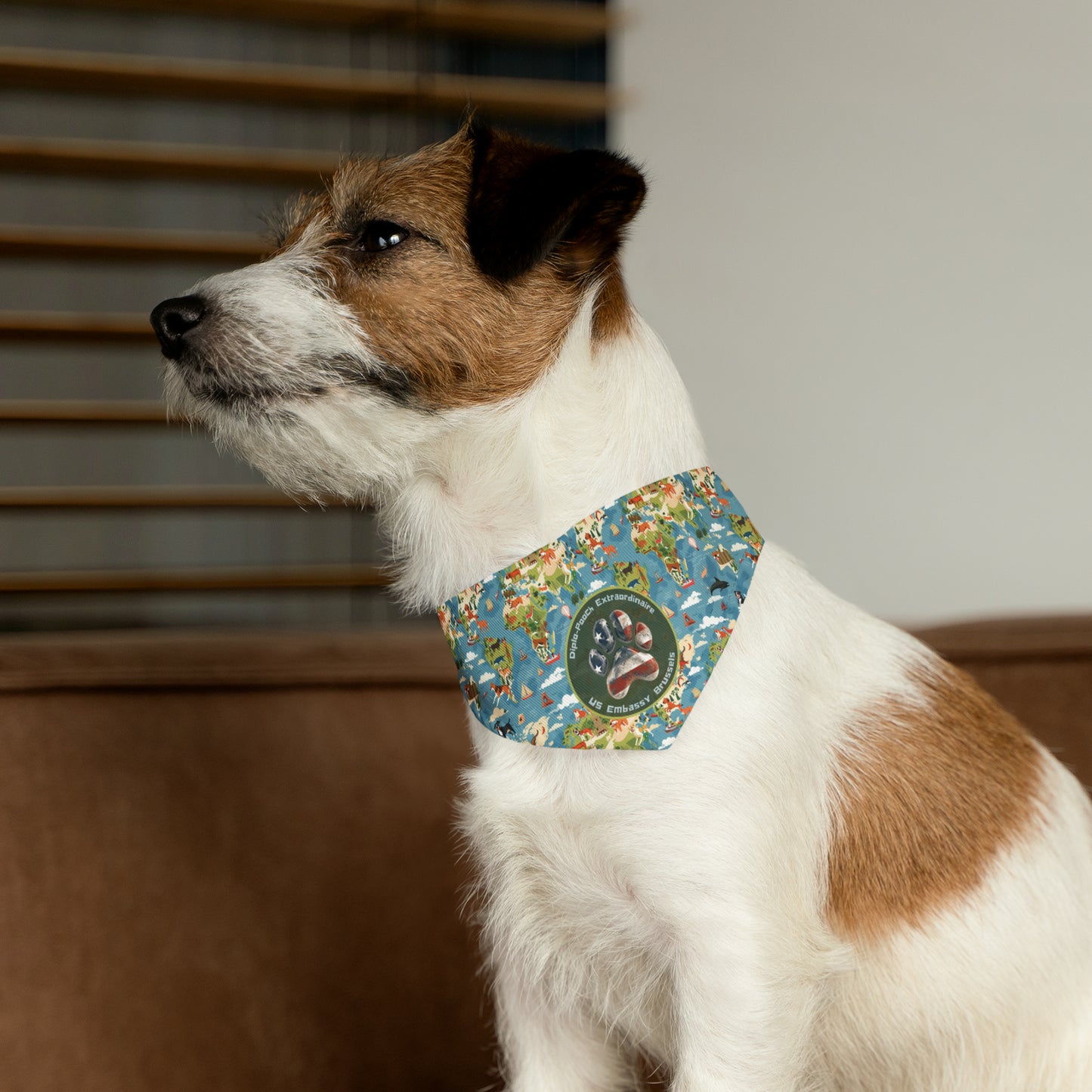 Pet Bandana: Brussels