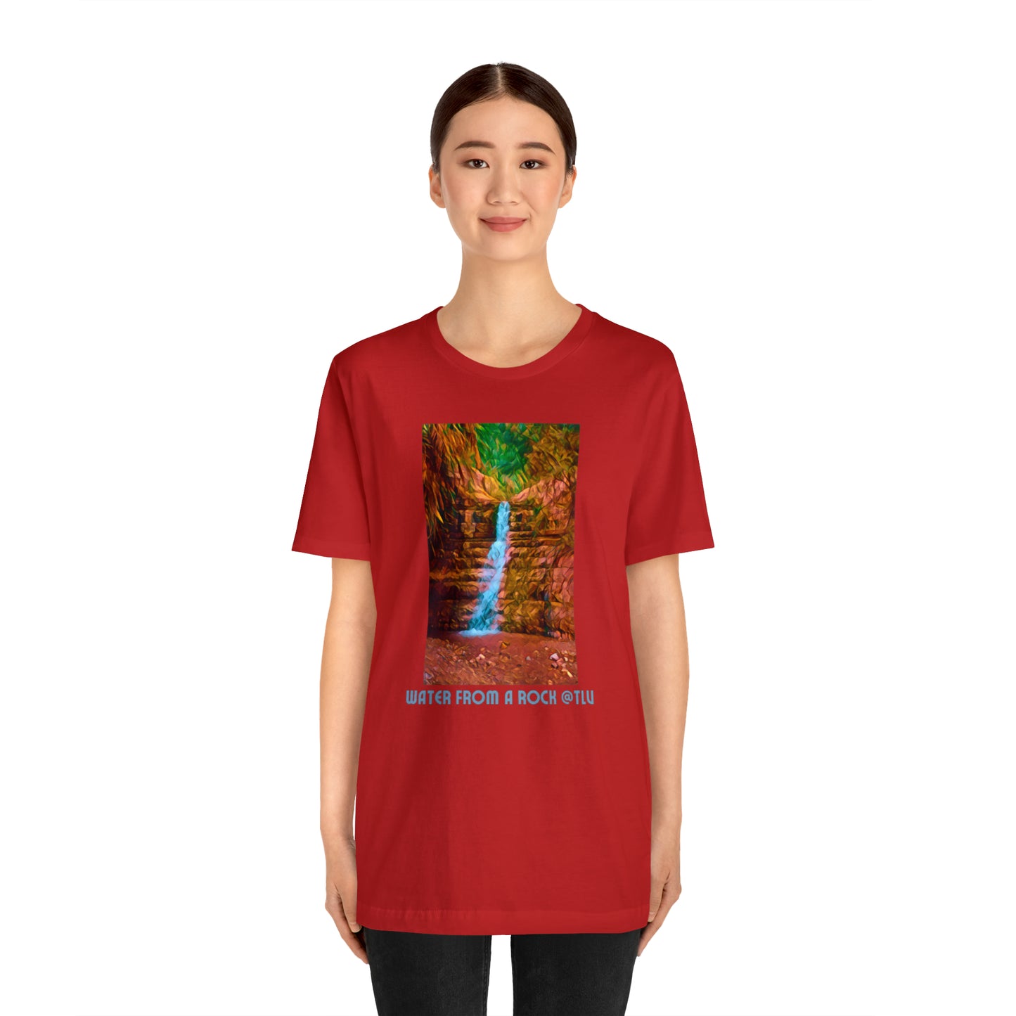 Comfy Short Sleeve T-Shirt: Jerusalem