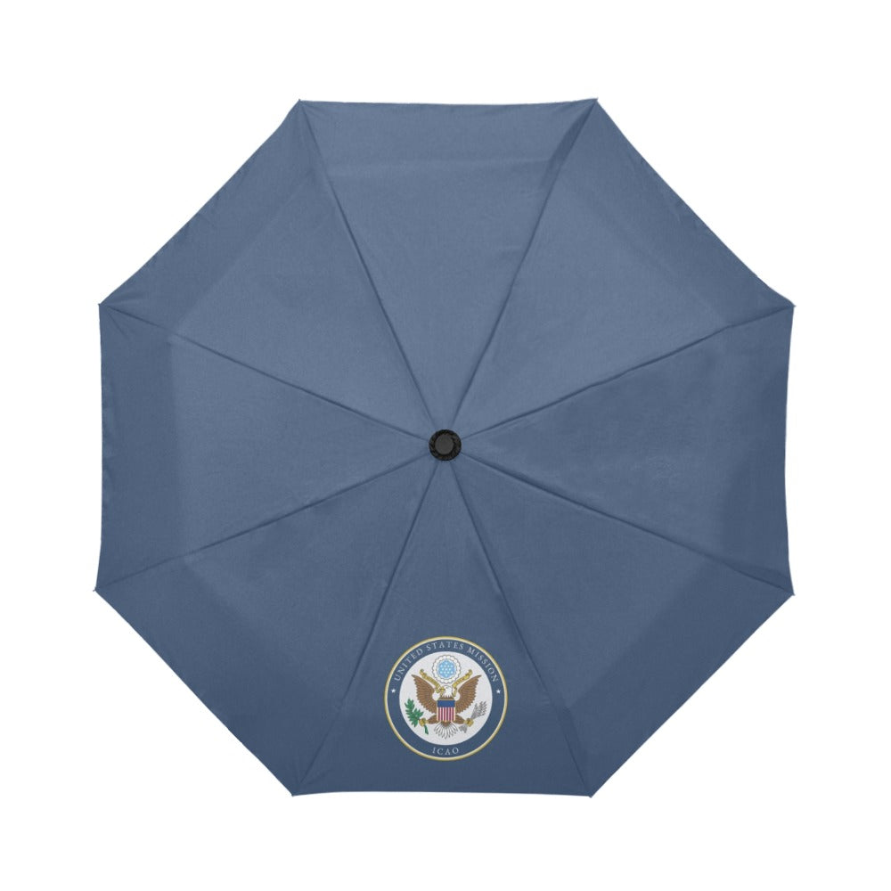 The Serious Demarcher's Umbrella:  ICAO