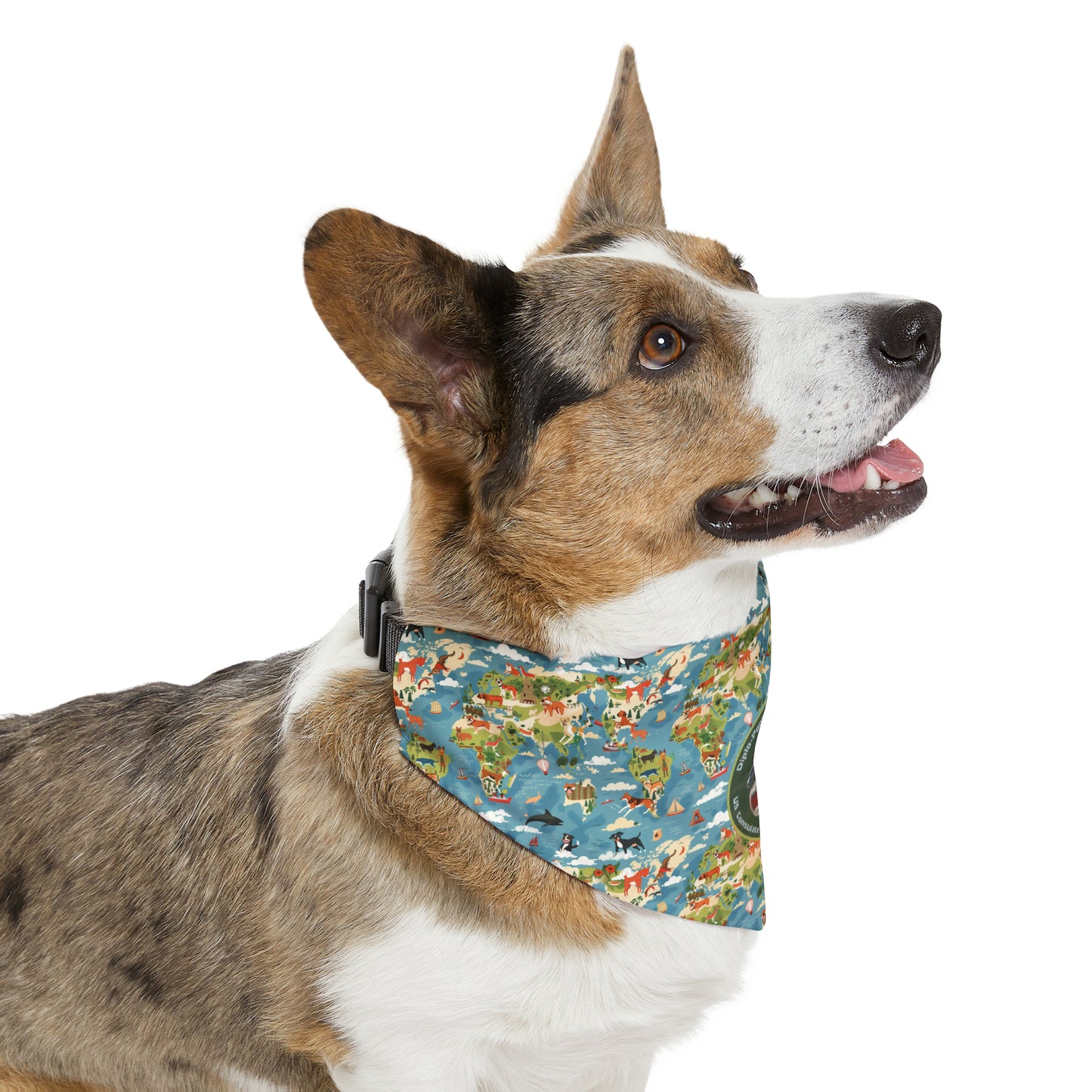 Pet Bandana: Ciudad Juárez