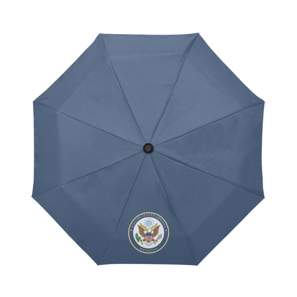 The Serious Demarcher's Umbrella:  Managua