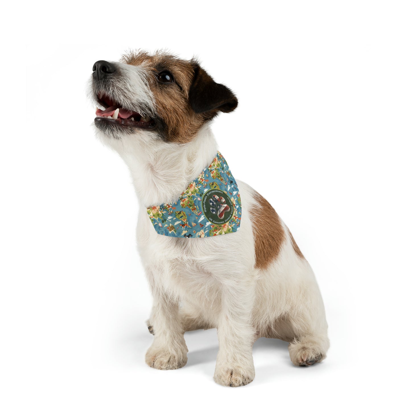 Pet Bandana: Ciudad Juárez