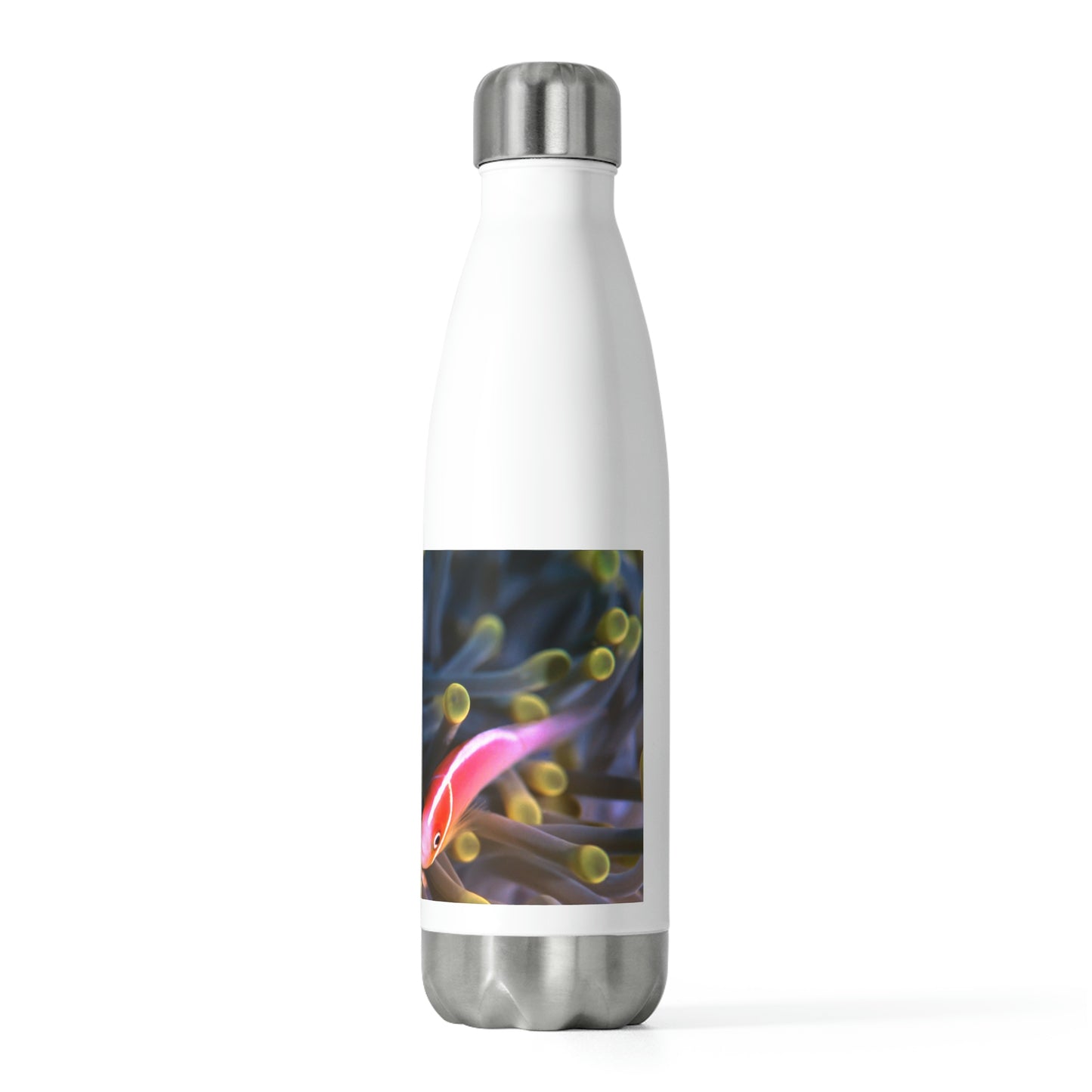 20oz Insulated Bottle: Koror