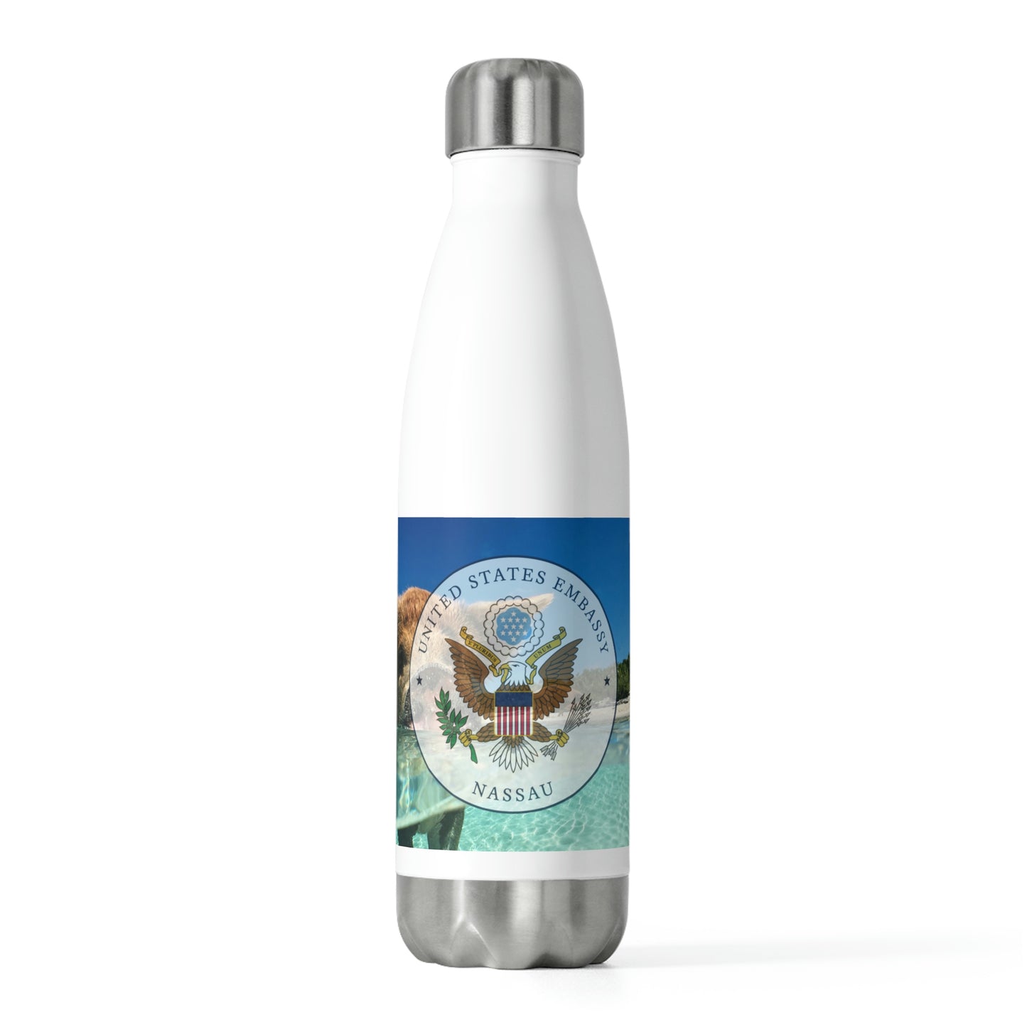 20oz Insulated Bottle: Nassau