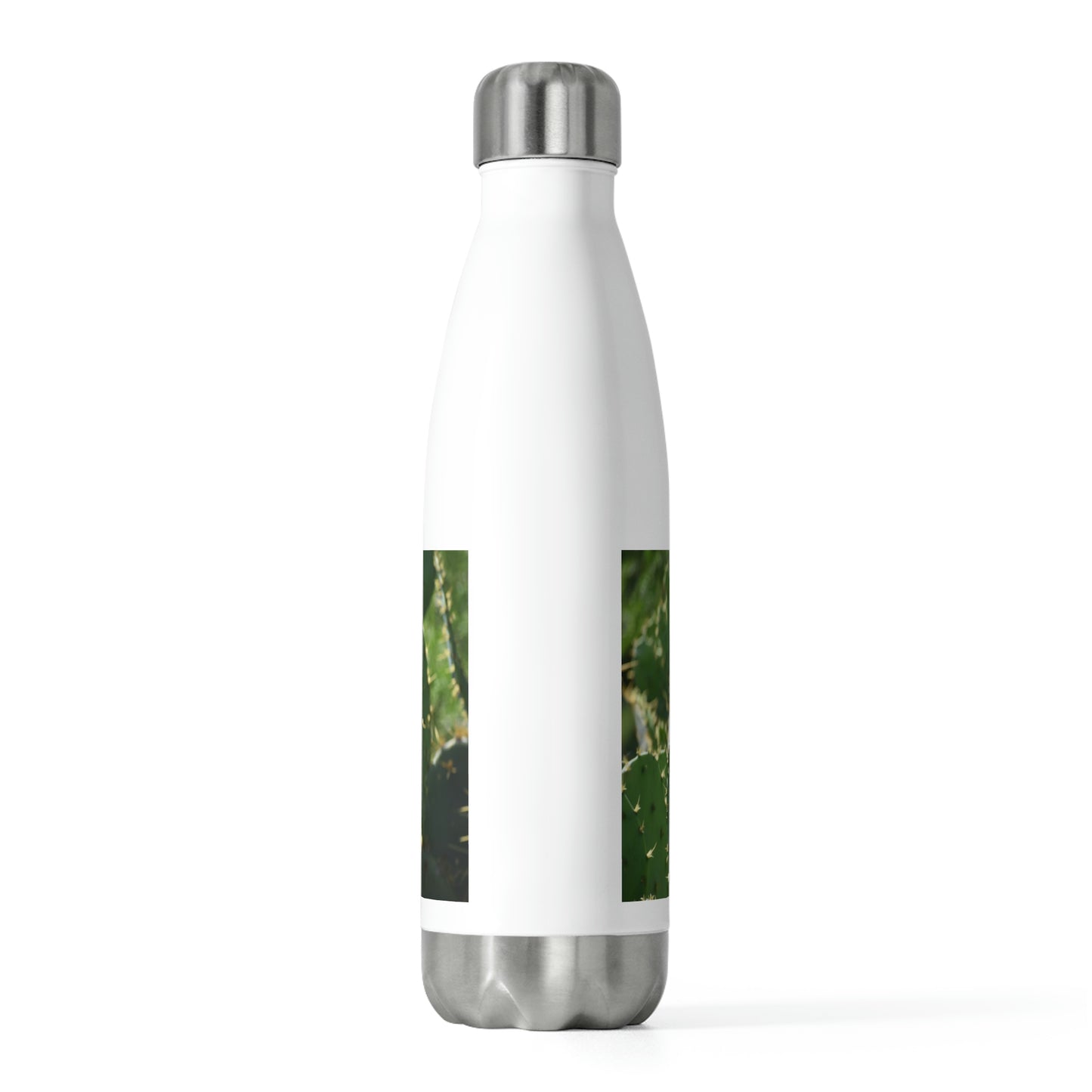 20oz Insulated Bottle: Nogales