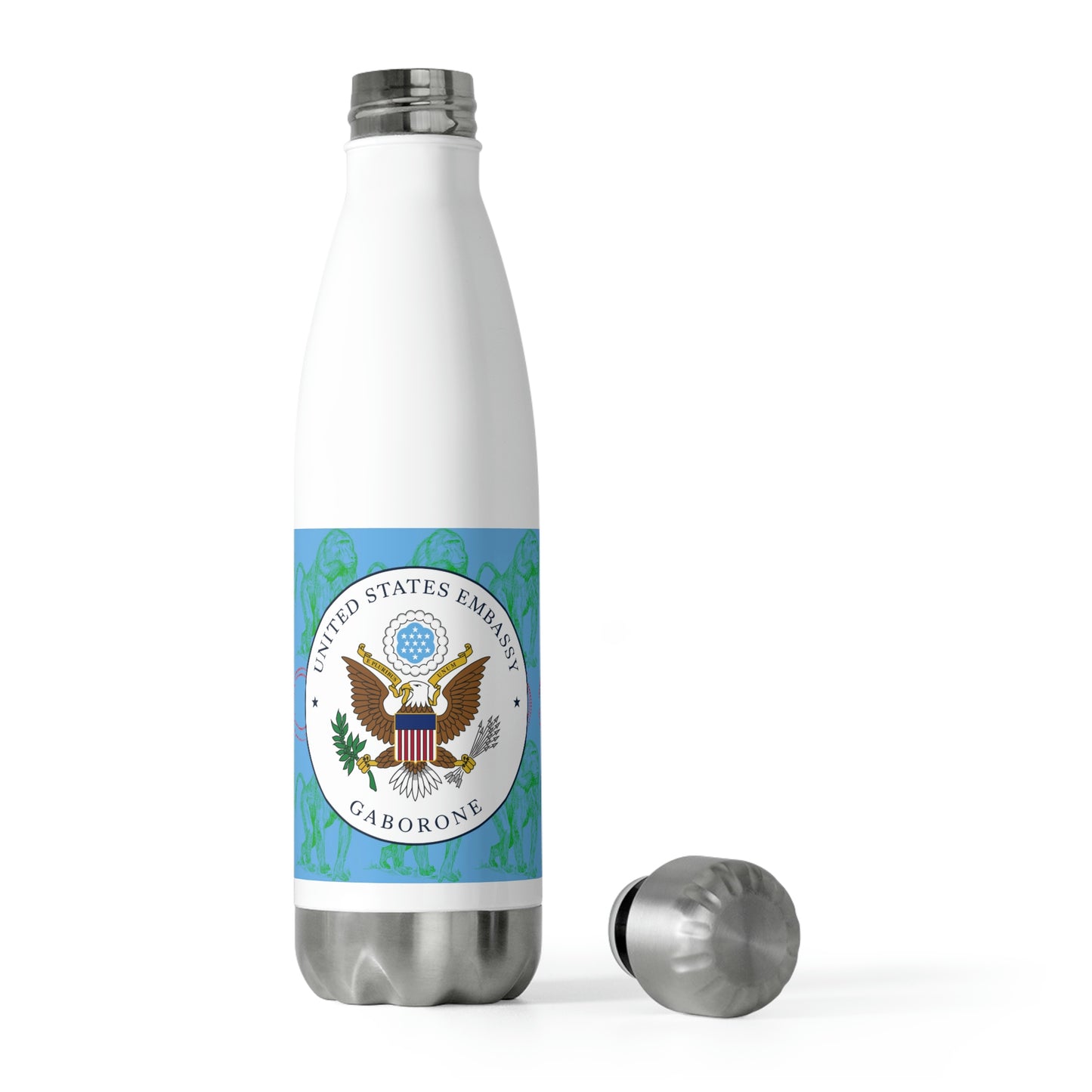 20oz Insulated Bottle: Djibouti