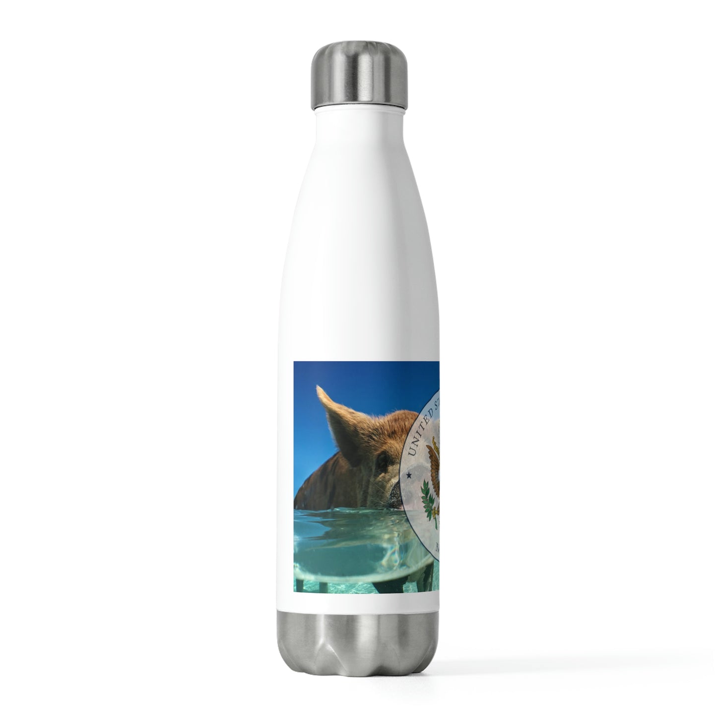 20oz Insulated Bottle: Nassau