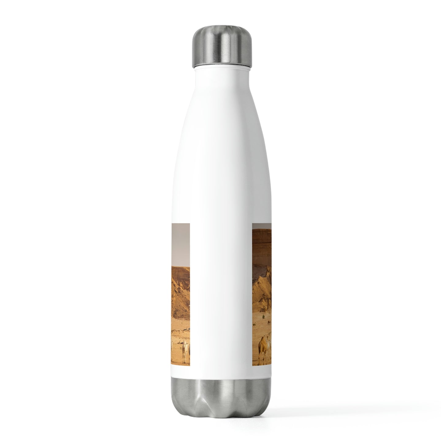 20oz Insulated Bottle: Riyadh