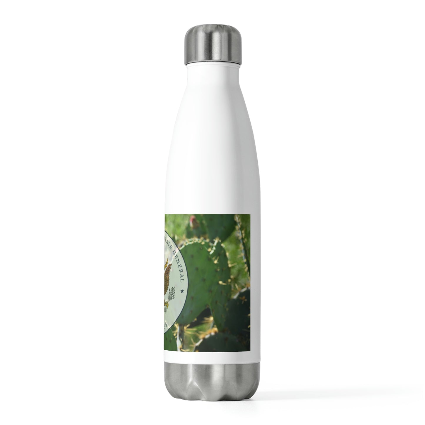 20oz Insulated Bottle: Nogales