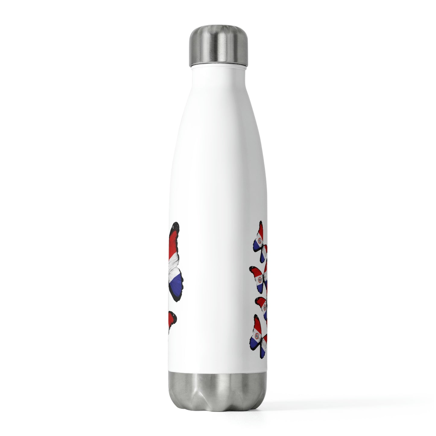 20oz Insulated Bottle: Asuncion