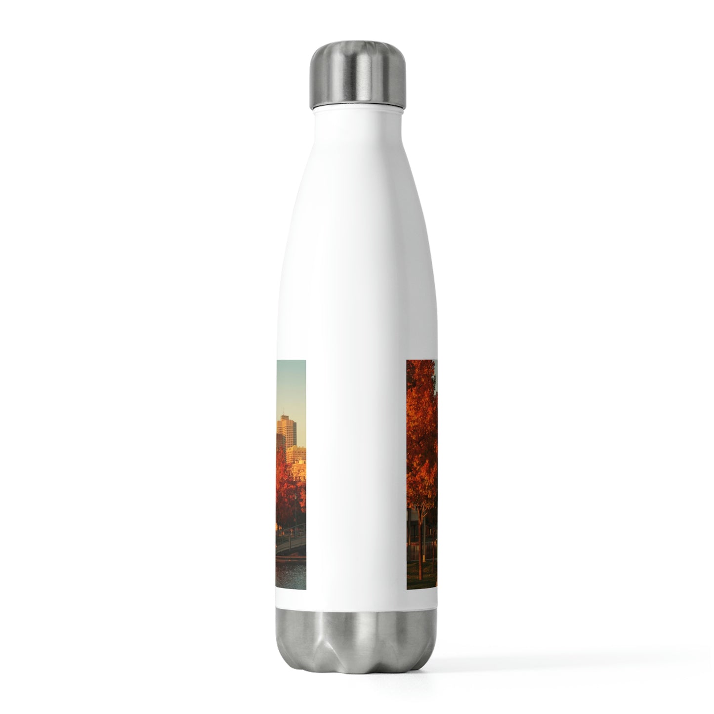 20oz Insulated Bottle: Montreal