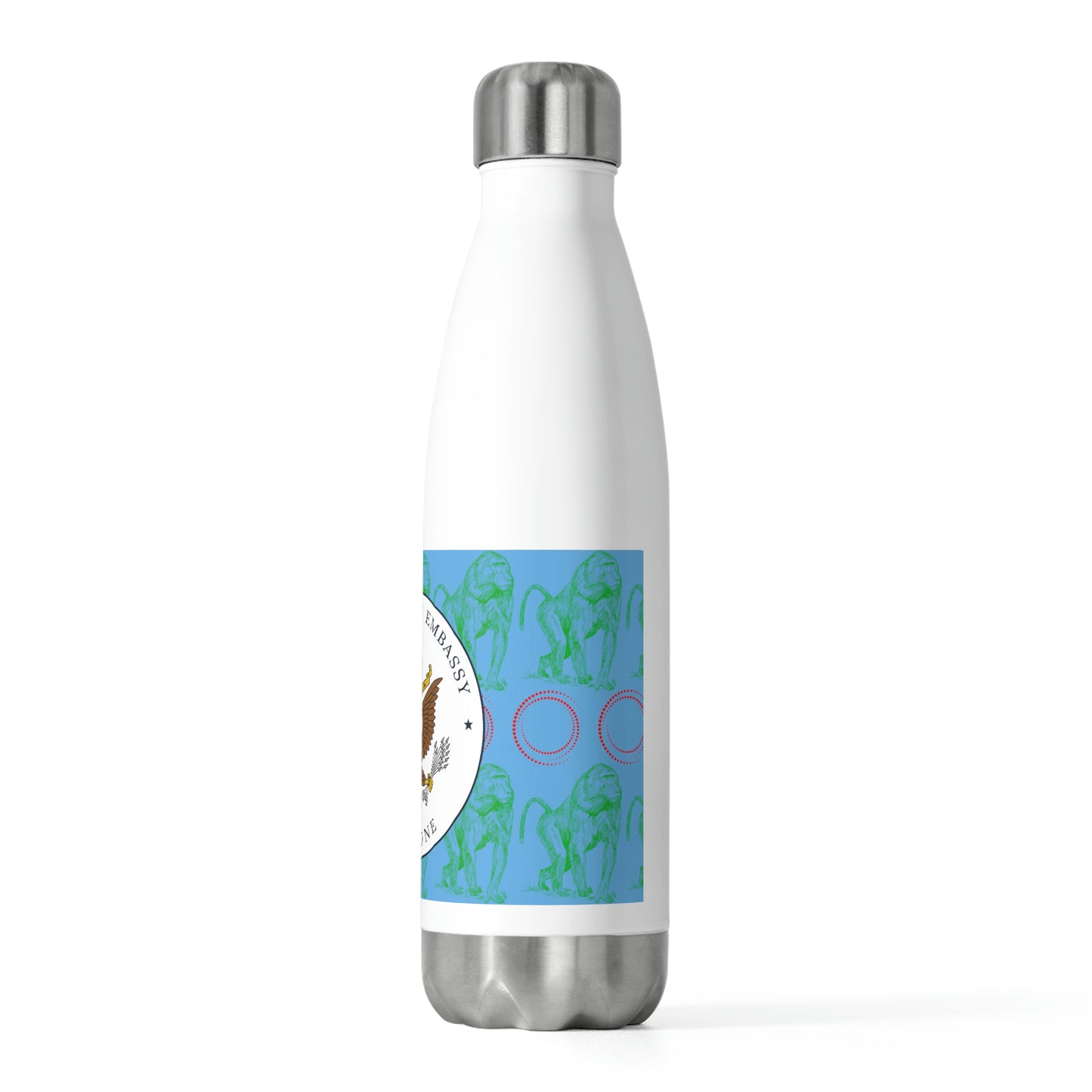 20oz Insulated Bottle: Djibouti