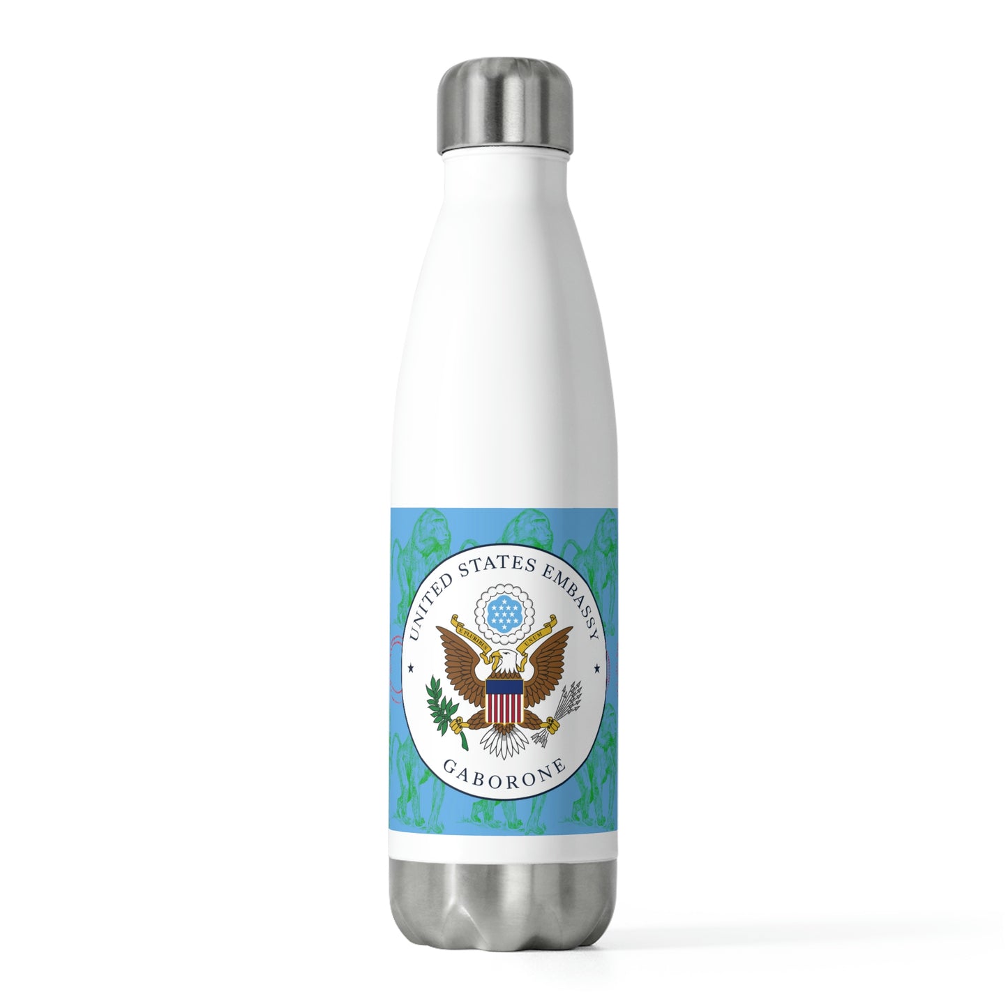 20oz Insulated Bottle: Djibouti