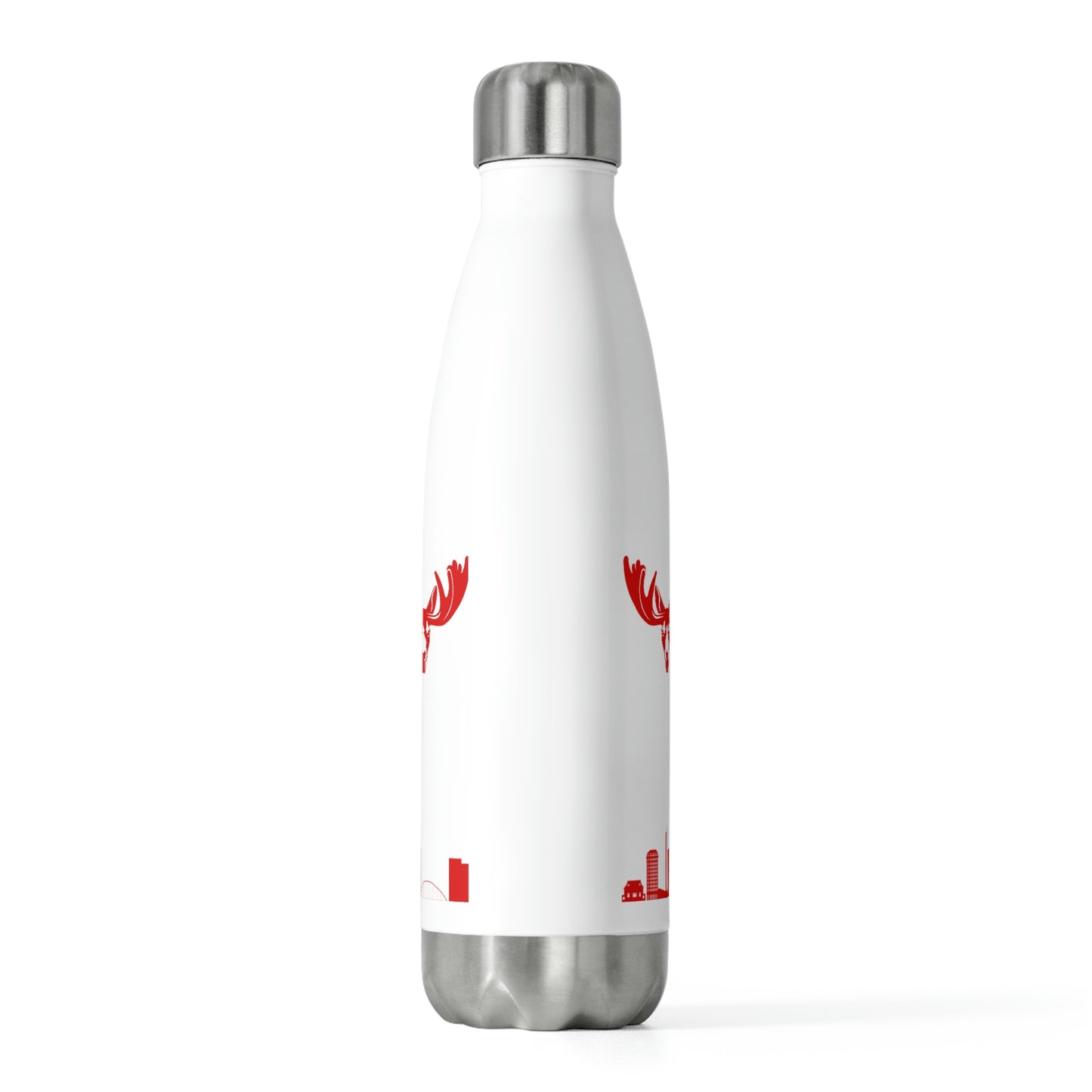 20oz Insulated Bottle: Toronto