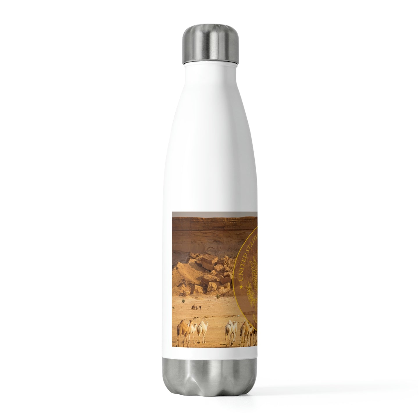 20oz Insulated Bottle: Dhahran