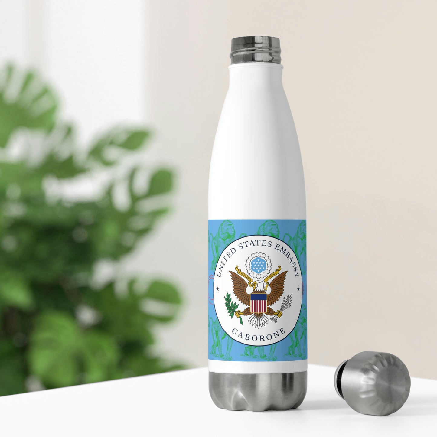 20oz Insulated Bottle: Djibouti