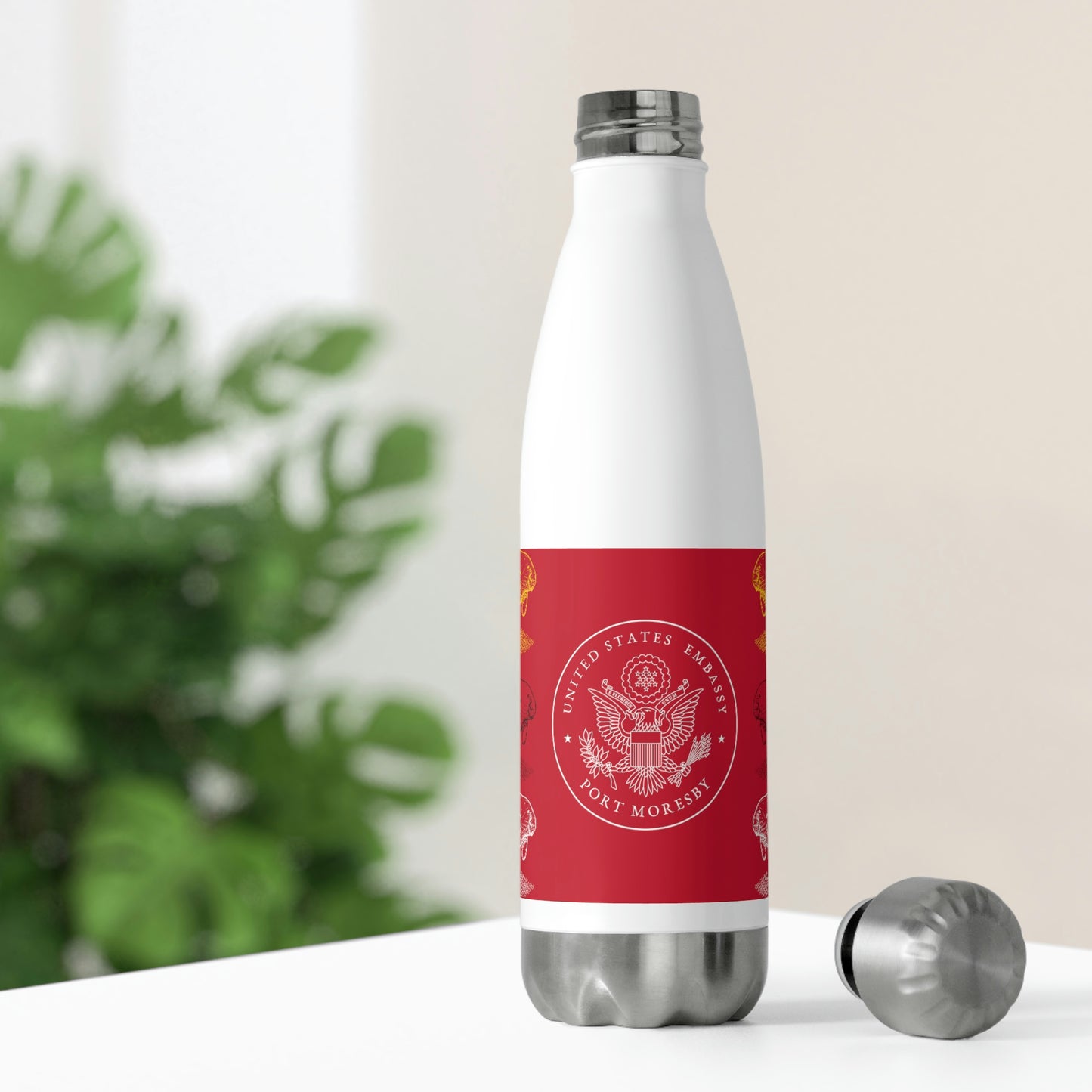 20oz Insulated Bottle: Port Moresby