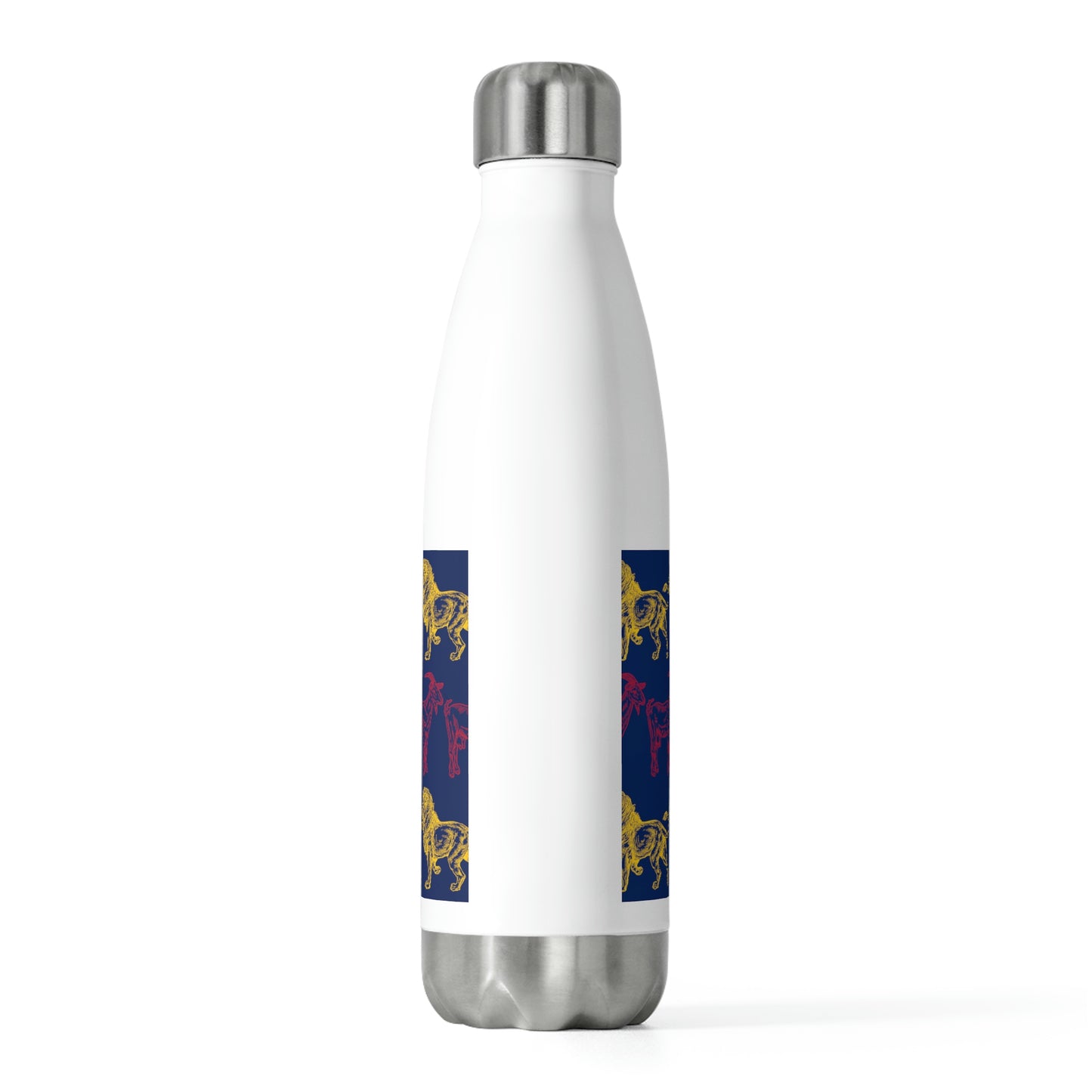 20oz Insulated Bottle: N'Djamena