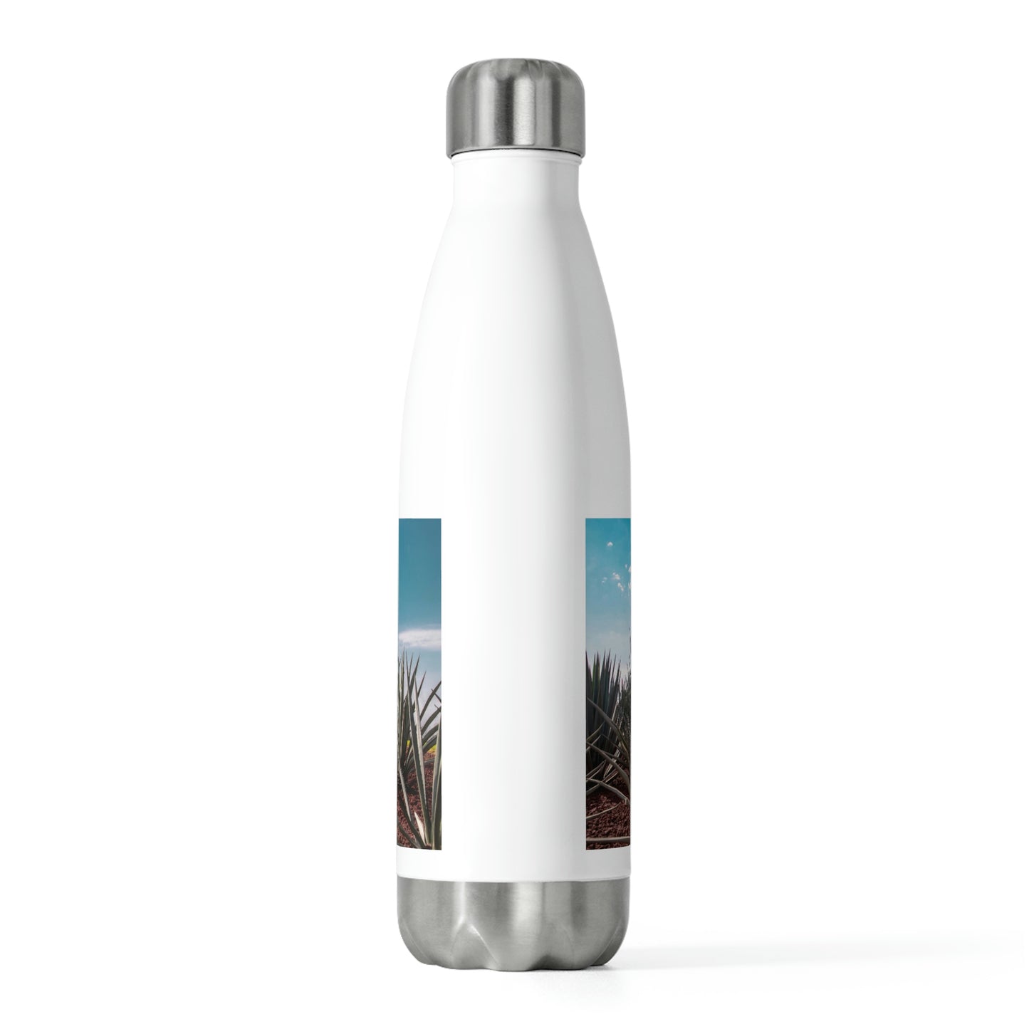 20oz Insulated Bottle: Guadalajara